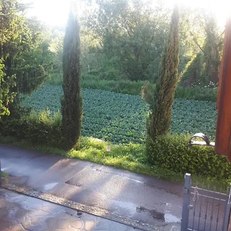 Due Abeti Florens